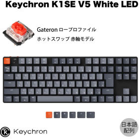 Keychron K1 SE Wireless Mechanical Keyboard ホットスワップモデル White LED K1SE-G1-JIS 赤軸