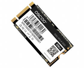 Oscoo OSC-PCI-E 256GB 2242 BM