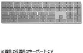 Surface Keyboard WS2-00019 [シルバー]