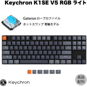 Keychron K1 SE Wireless Mechanical Keyboard ホットスワップモデル RGB K1SE-H2-US 青軸