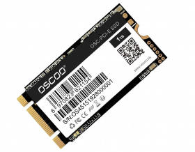 OSC-PCI-E 1TB 2242 BM