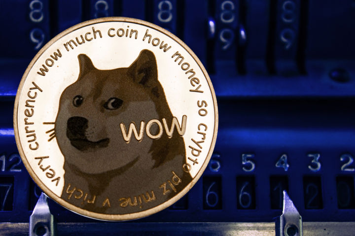 暗号通貨Dogecoinの利益は今年6,000％アップ